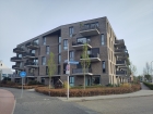 Anna's Hoeve